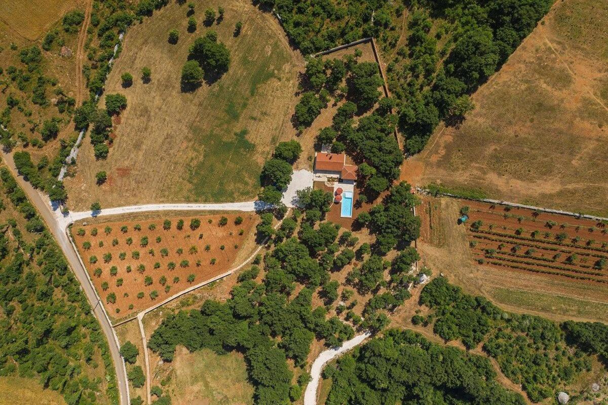 Villa Martinetinka Vodnjan Exterior photo