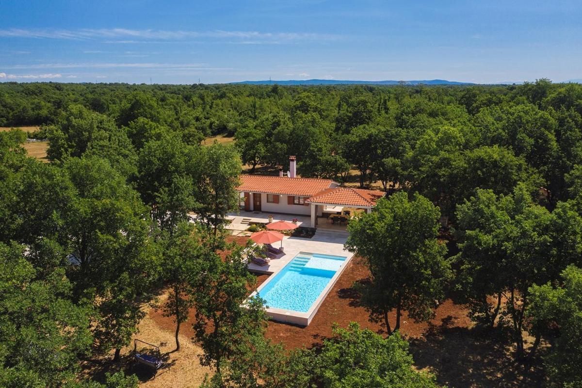 Villa Martinetinka Vodnjan Exterior photo
